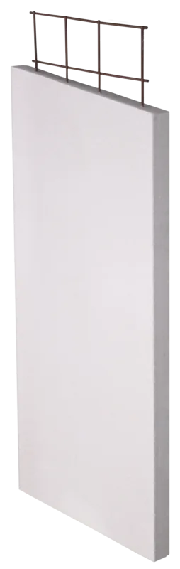 Walsc AAC Panel 50mm